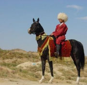 مختصری از تاریخچه ترکمن صحرا و اسب ترکمن